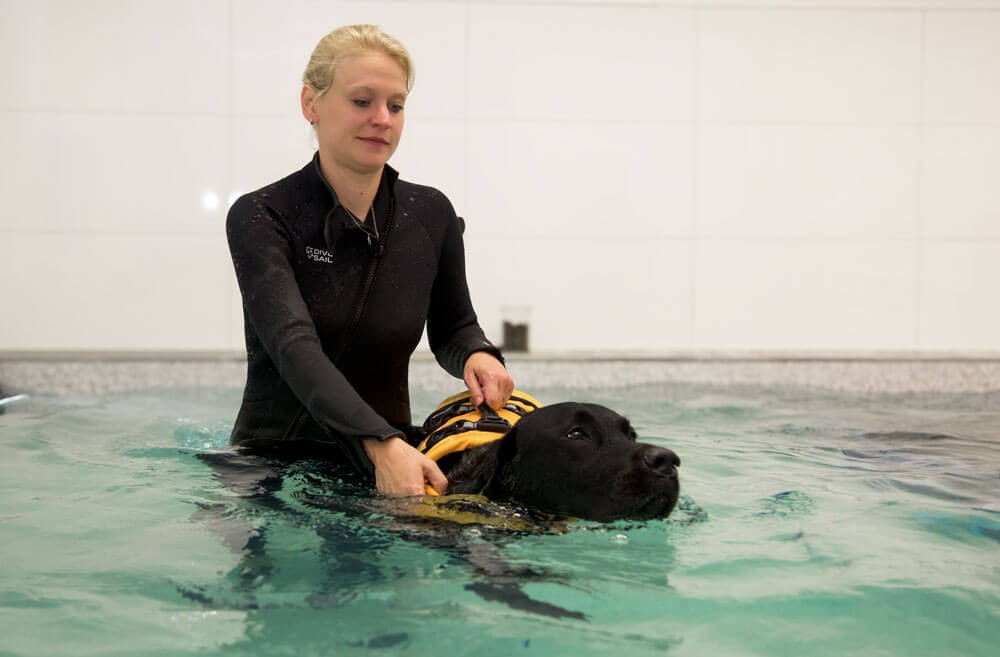 hunde-therapie-zentrum-Hydrotherapie-3