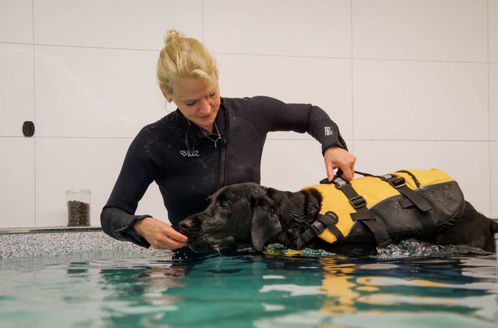 hunde-therapie-zentrum-Hydrotherapie-5