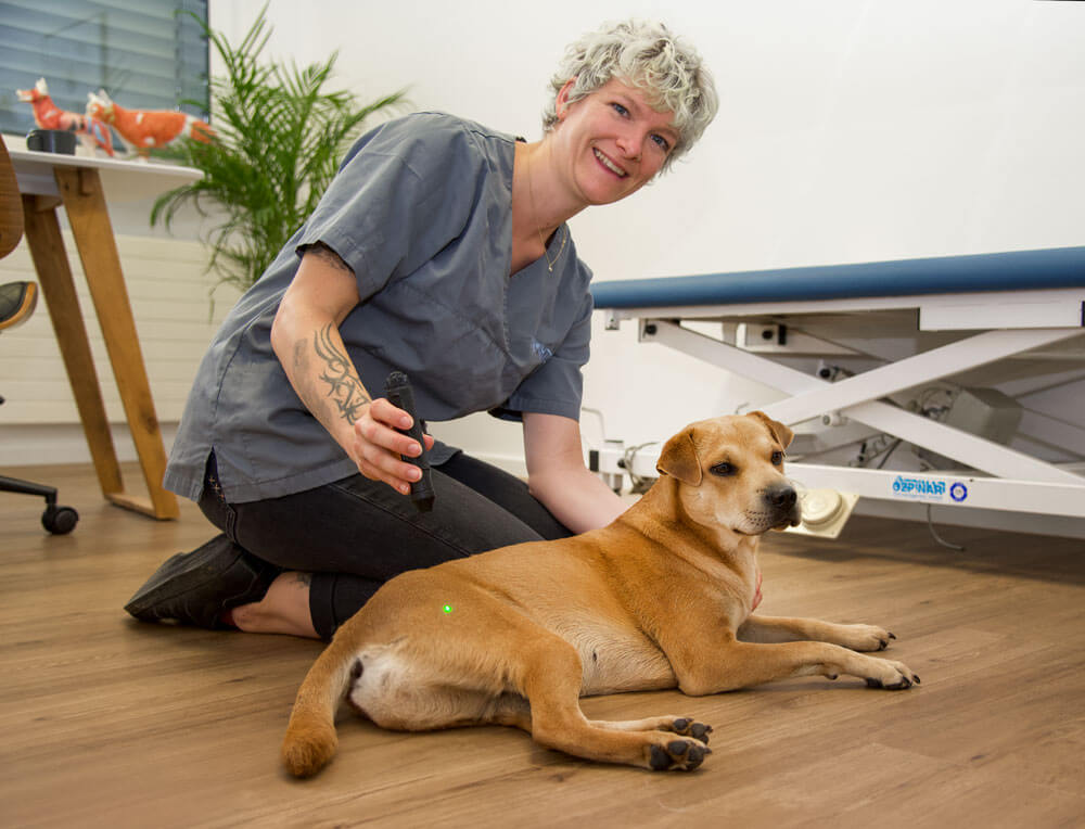hunde-therapie-zentrum-leistungen-Tierheilpraktik2